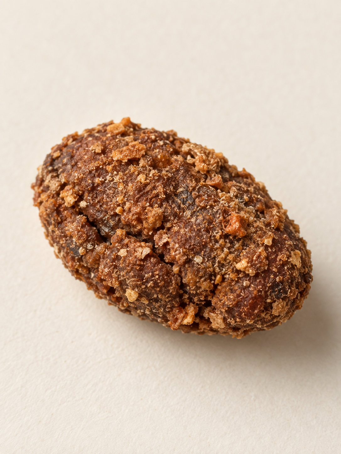 Close-up of a single roasted cacao bean