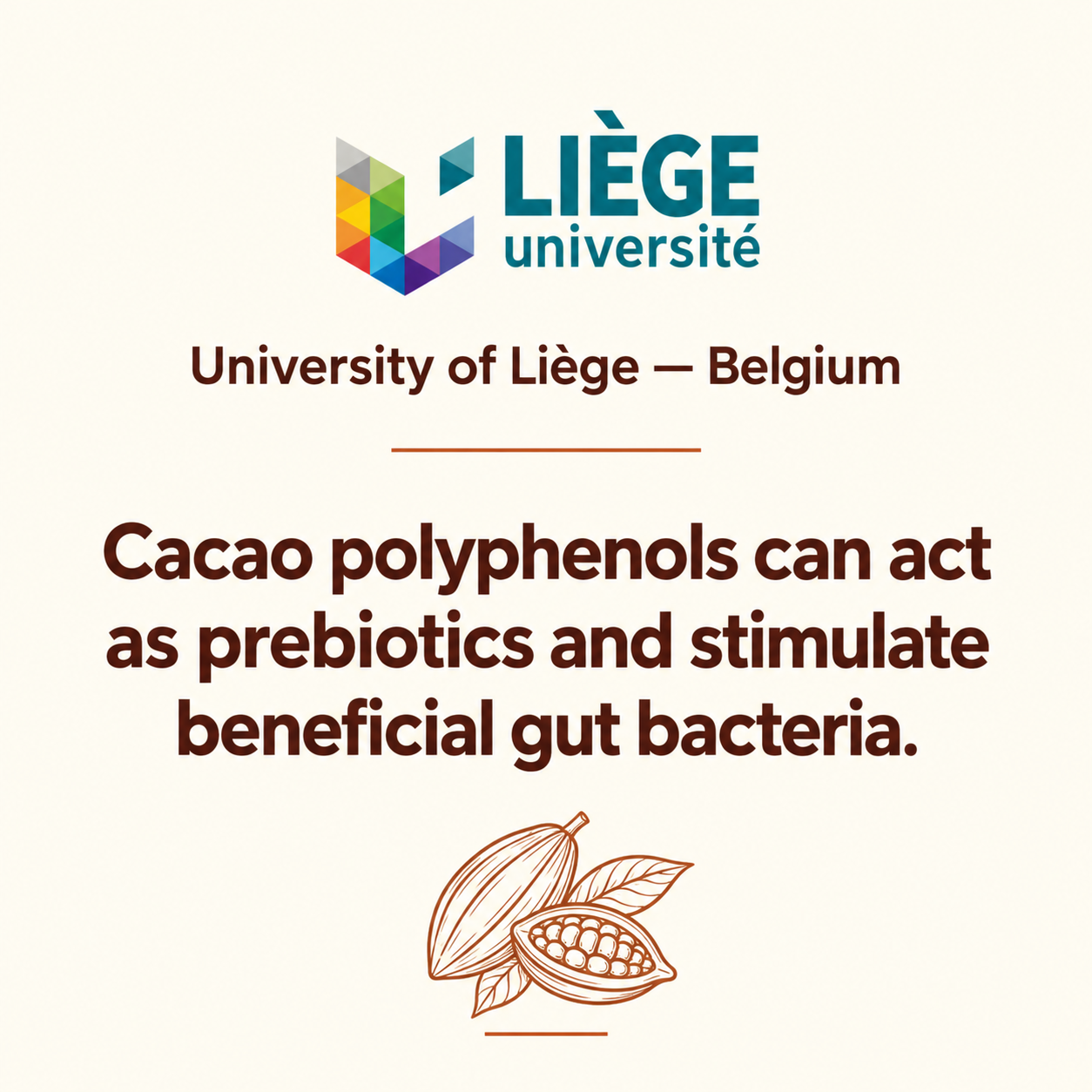 University of Liège study on cacao polyphenols and gut bacteria
